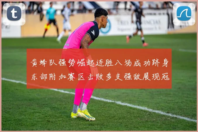 黄蜂队强势崛起连胜八场成功跻身东部附加赛区击败多支强敌展现冠军潜力