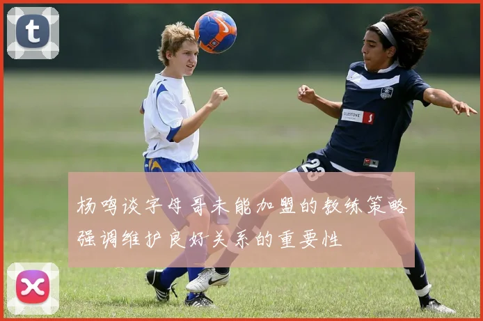 杨鸣谈字母哥未能加盟的教练策略强调维护良好关系的重要性
