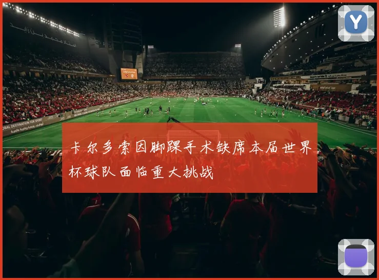 卡尔多索因脚踝手术缺席本届世界杯球队面临重大挑战